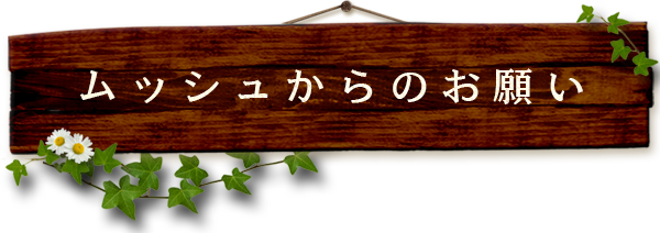 ムッシュからのお願い